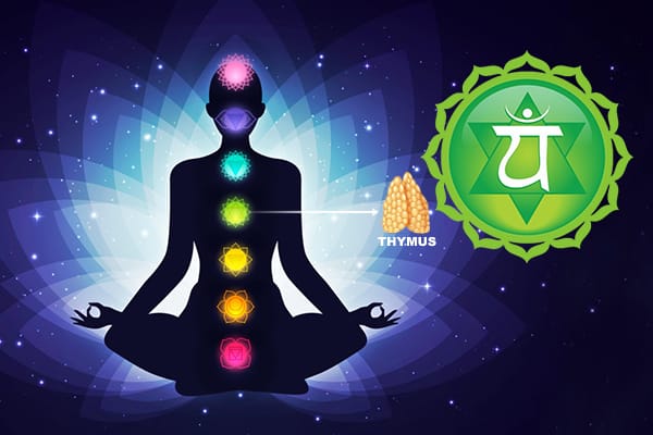 Heal Your Heart: Address the Emotional Root of Disease 7 anahata chakra